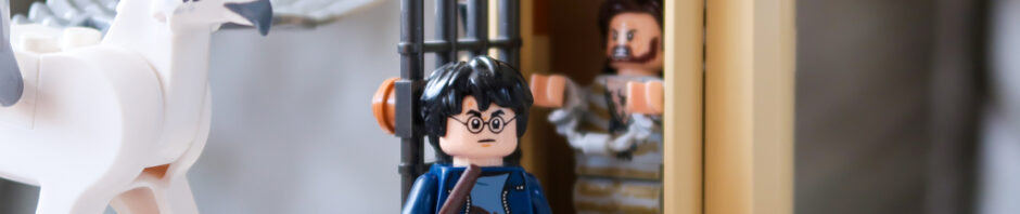 LEGO Harry Potter Hogwarts Courtyard: Sirius's Rescue #76401